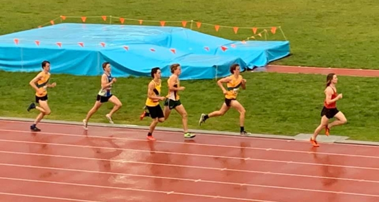 Vic Milers November 2019